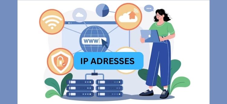 what is IPv4 and IPv6 Addressing: Compare